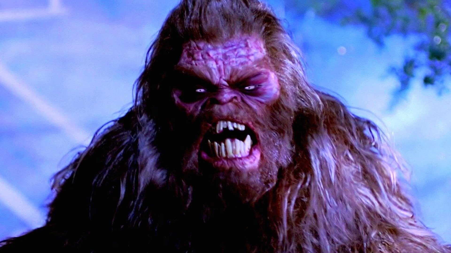 Foto do filme Abominável