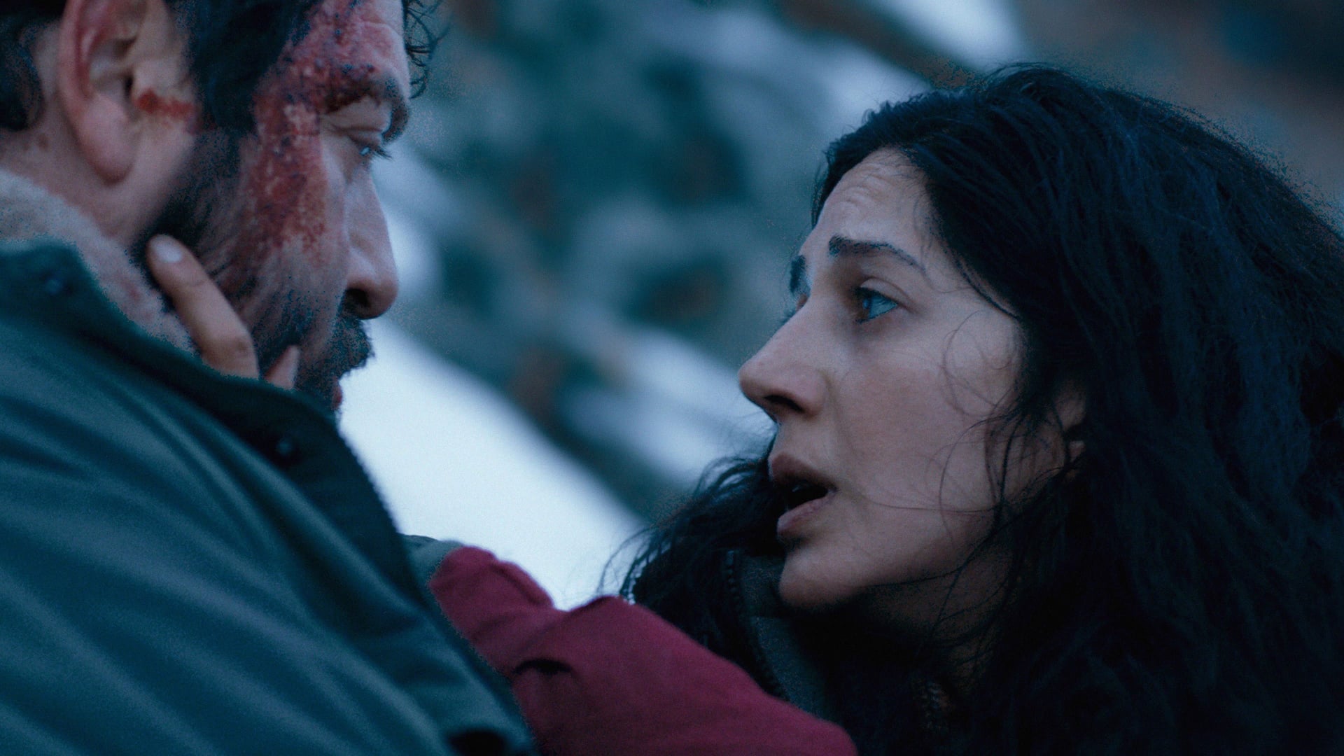 Foto do filme Les Survivants