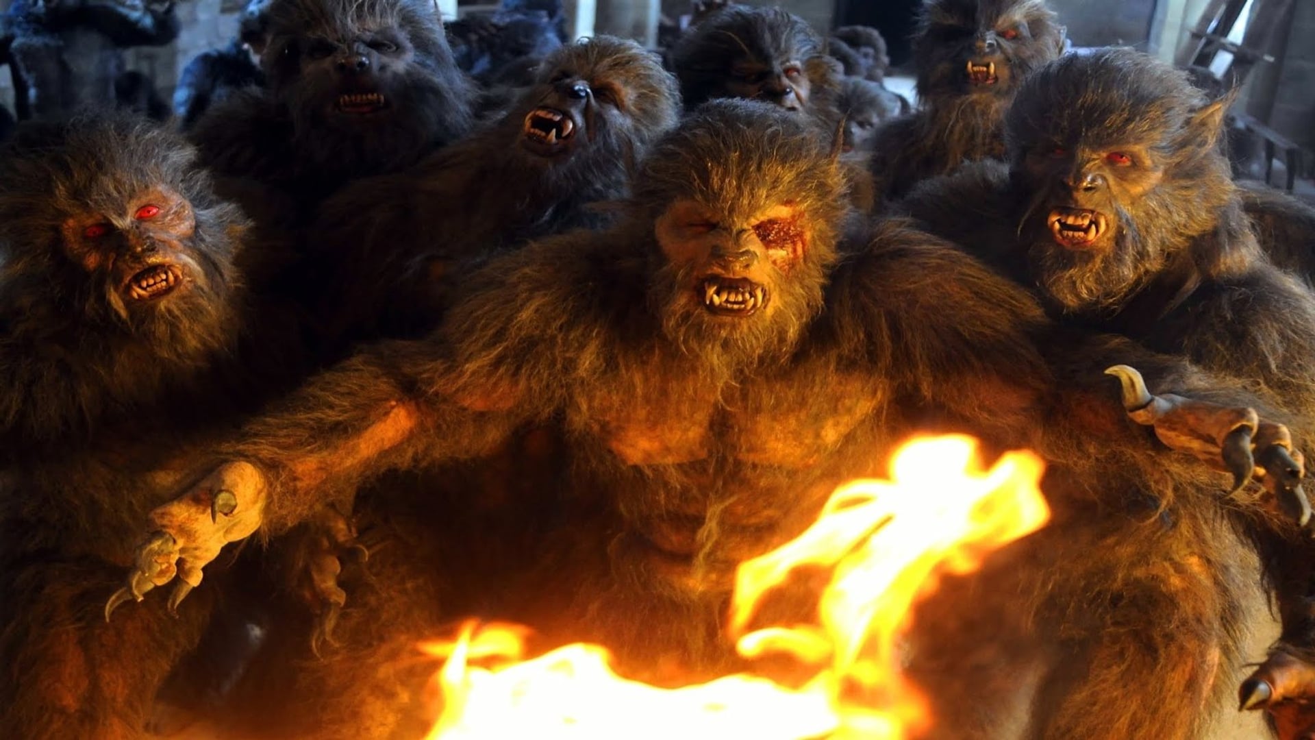 Foto do filme Lobos de Arga