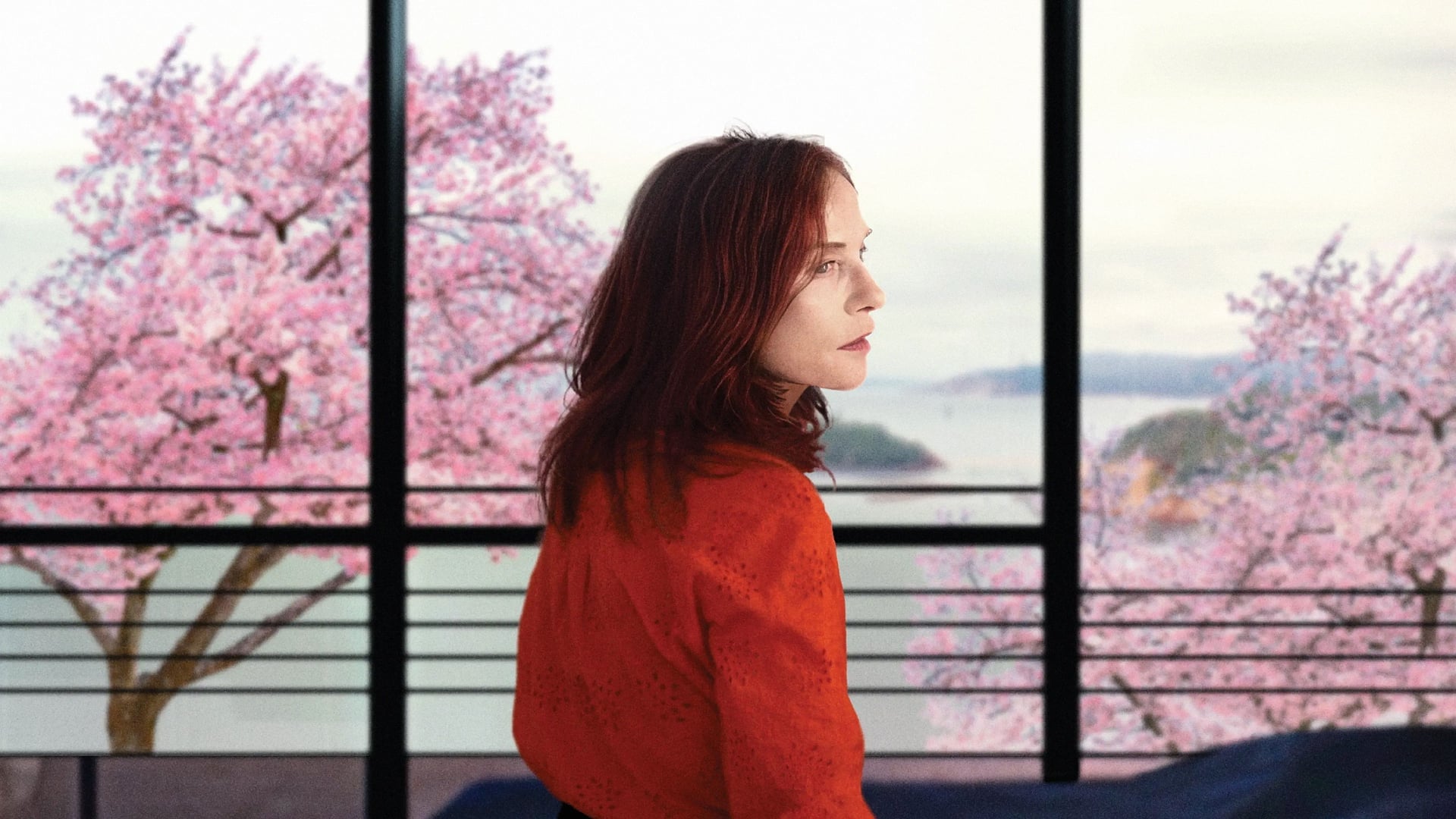 Foto do filme Sidonie no Japão