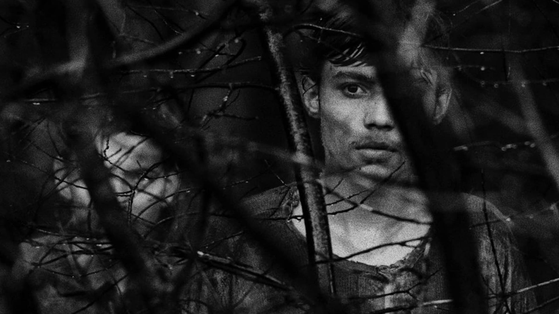 Foto do filme Démanty noci