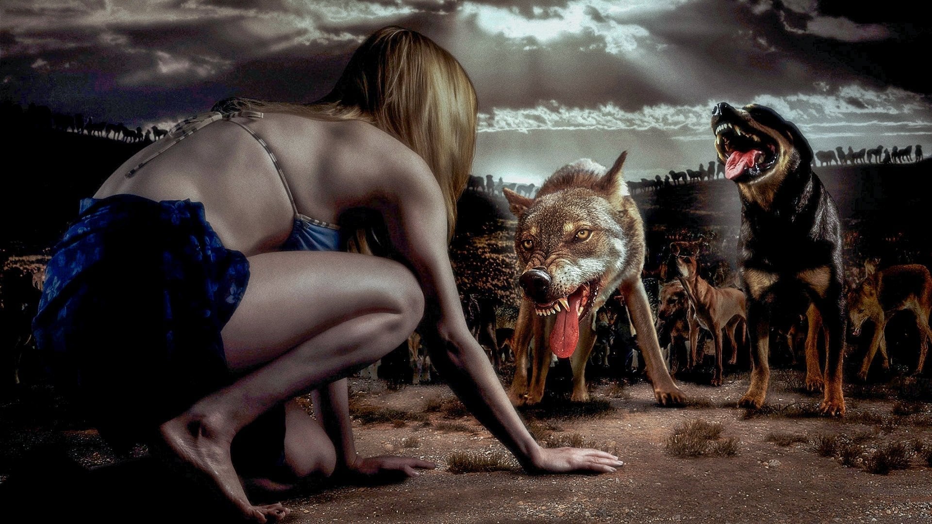 Foto do filme Cães Assassinos