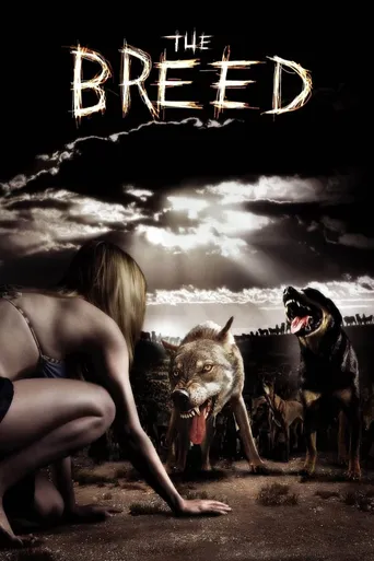 Cães Assassinos