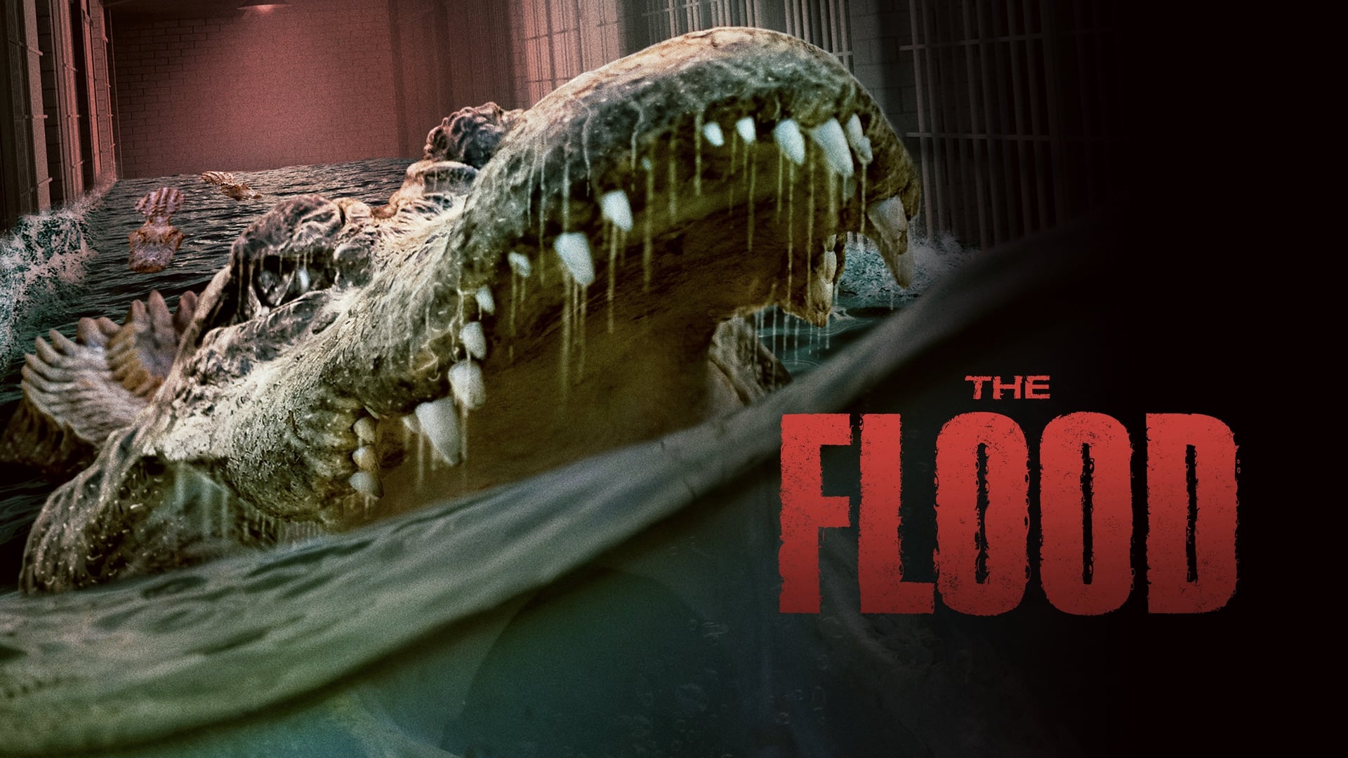Foto do filme The Flood