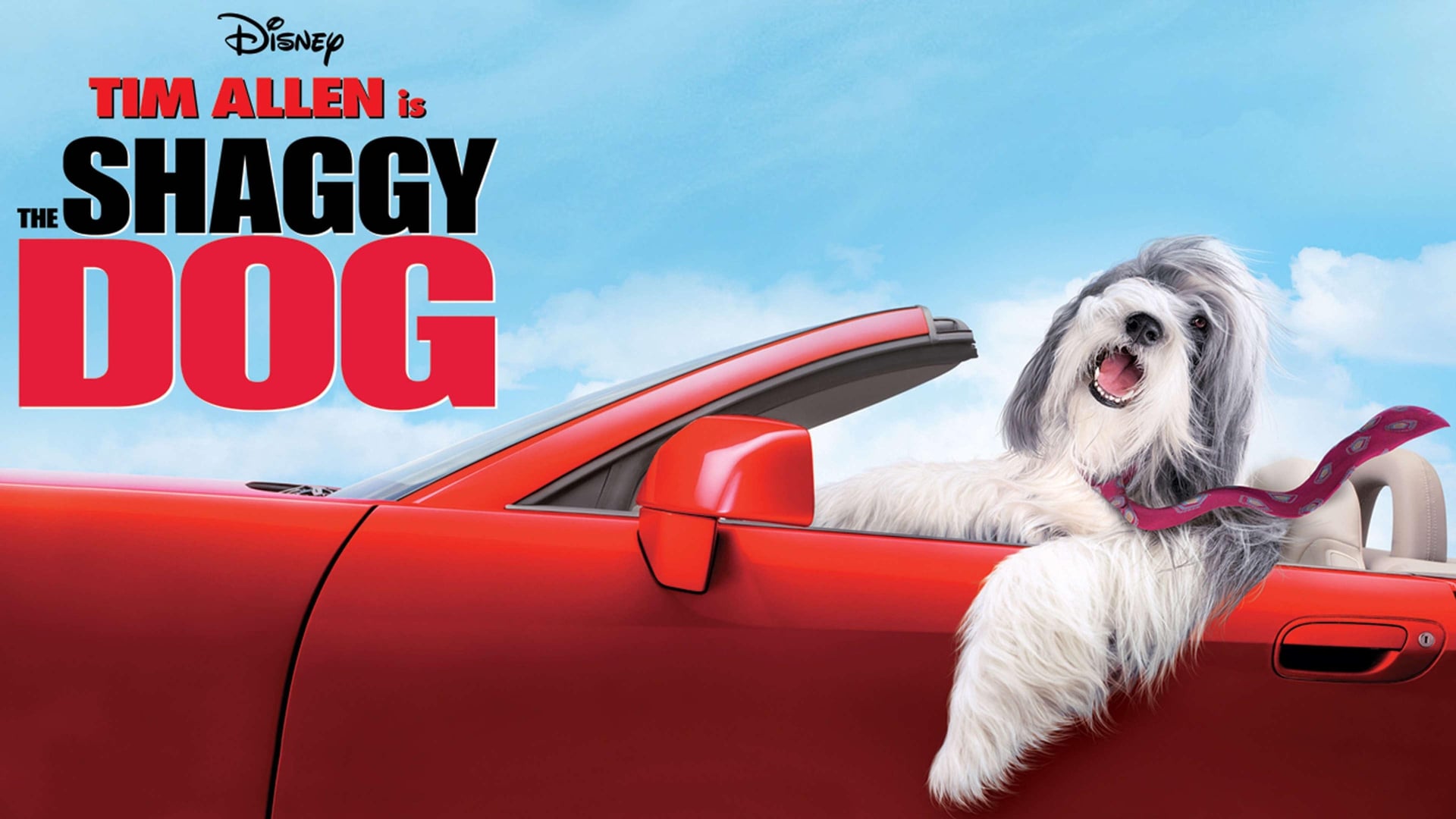 Foto do filme Soltando os Cachorros
