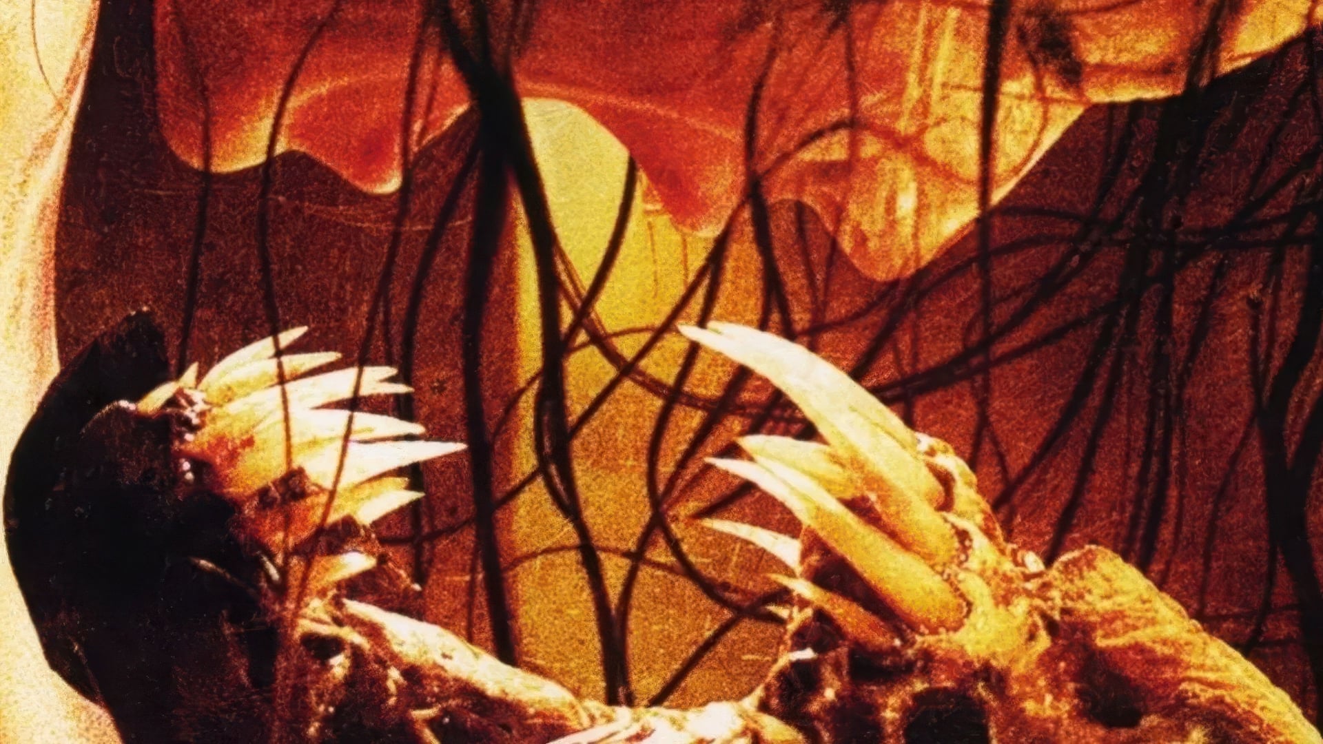 Foto do filme Banquete no Inferno