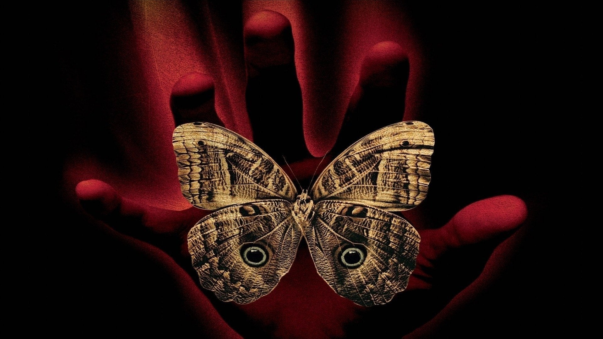 Foto do filme O Som do Trovão