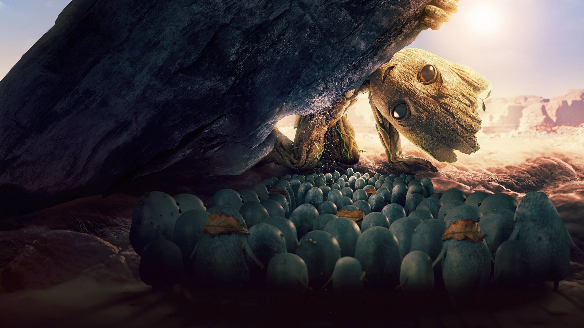 Foto do filme O Carinha