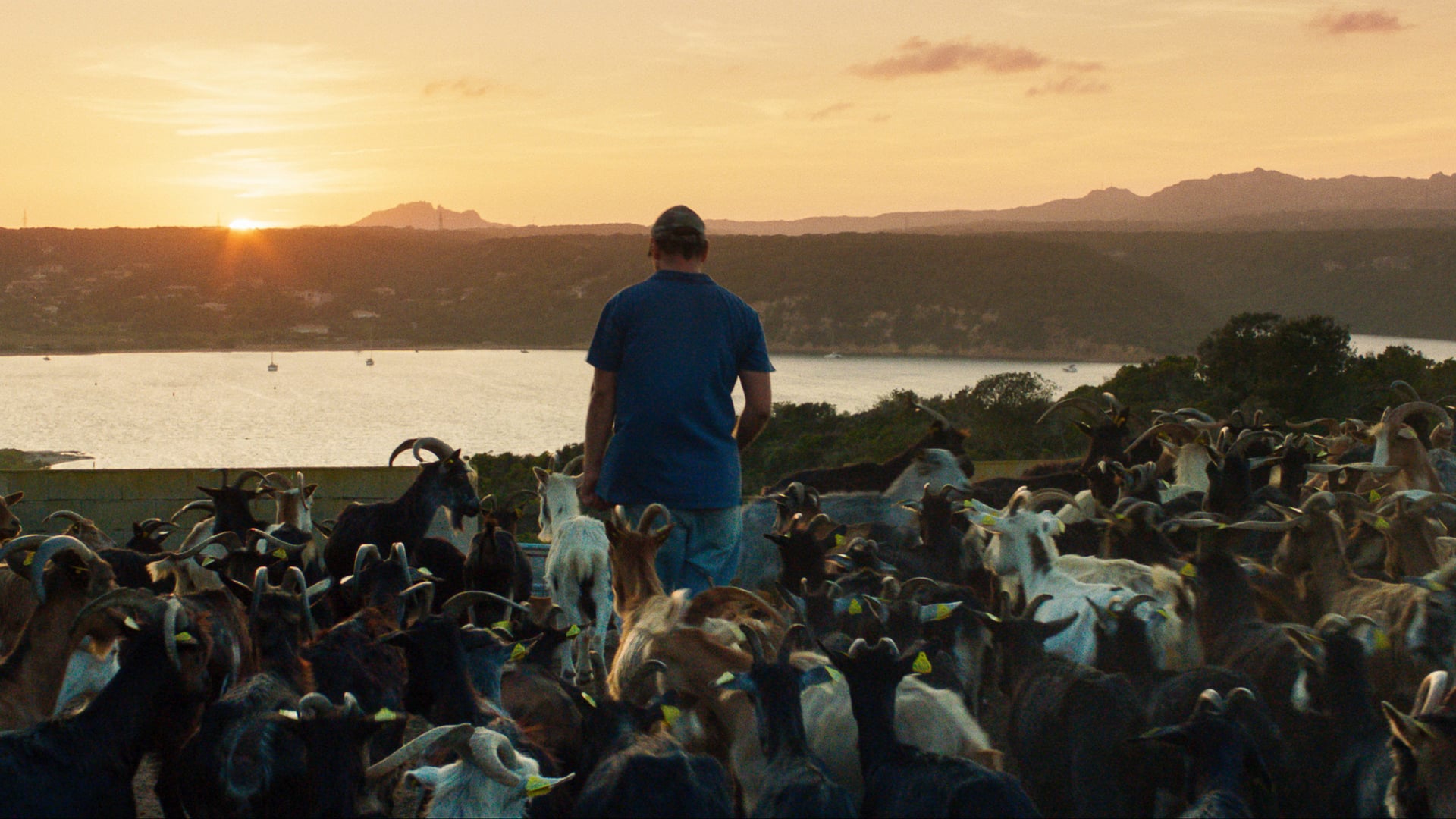 Foto do filme O Último Moicano