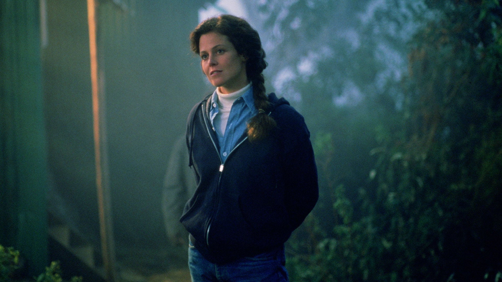 Foto do filme Nas Montanhas dos Gorilas