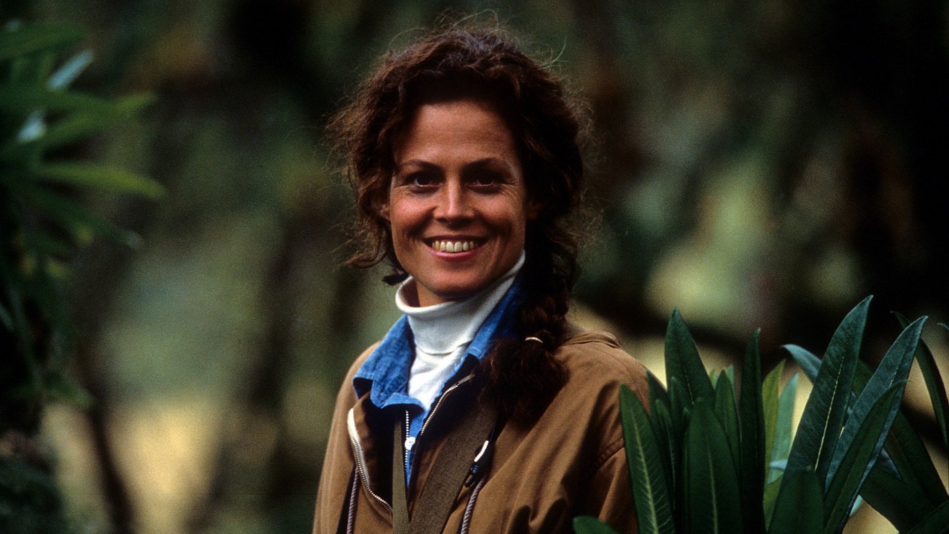 Foto do filme Nas Montanhas dos Gorilas