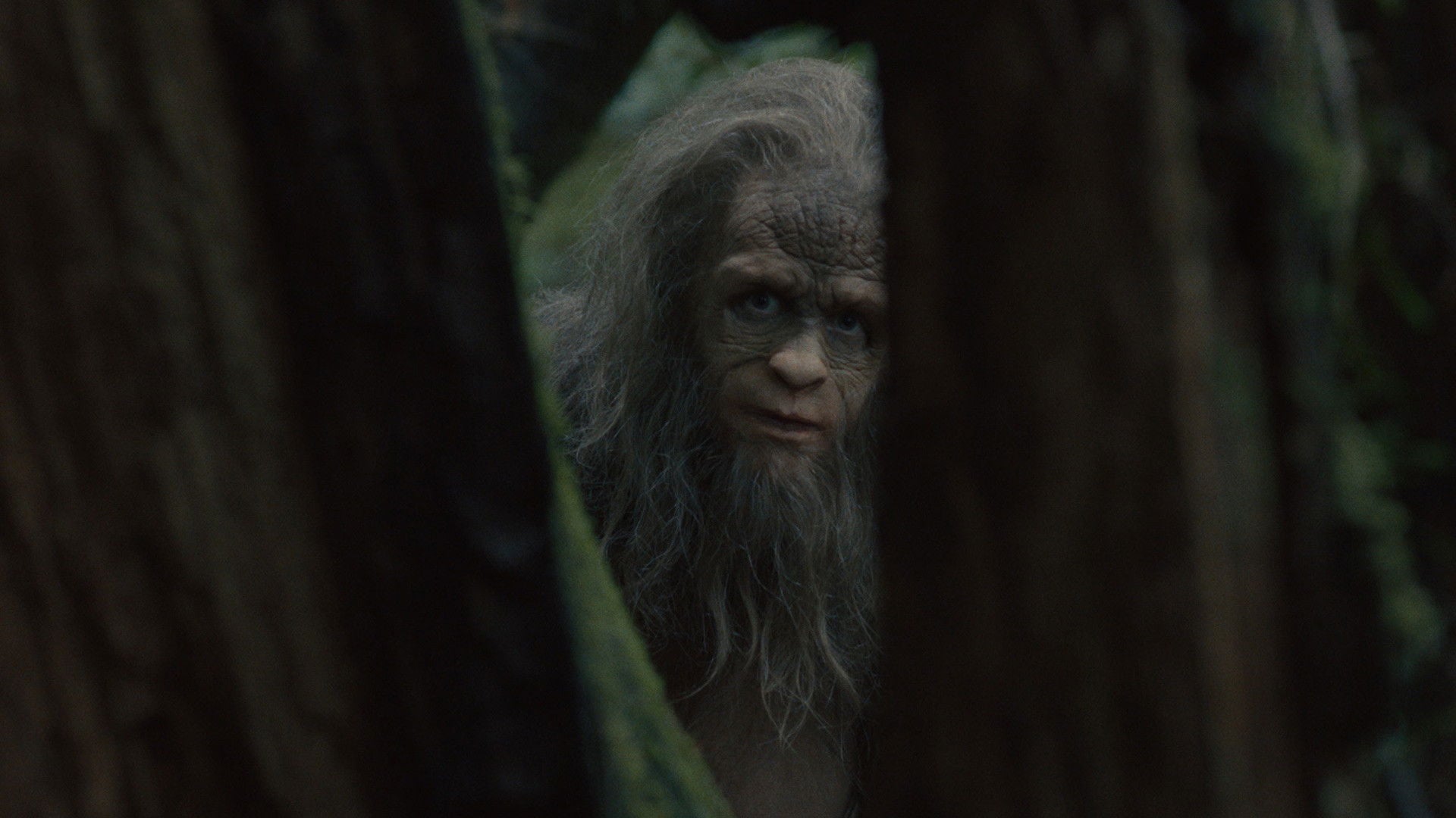 Foto do filme Sasquatch Sunset