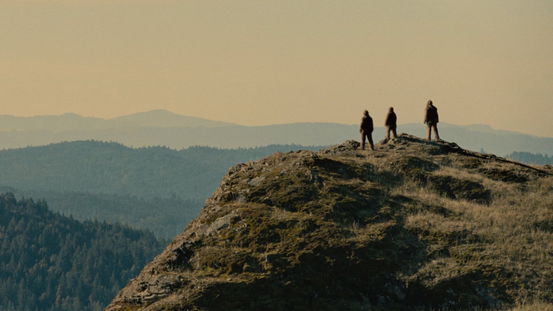 Foto do filme Sasquatch Sunset
