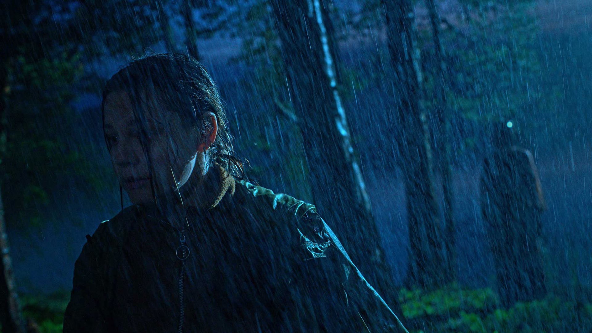 Foto do filme Feed: O Terror está Online