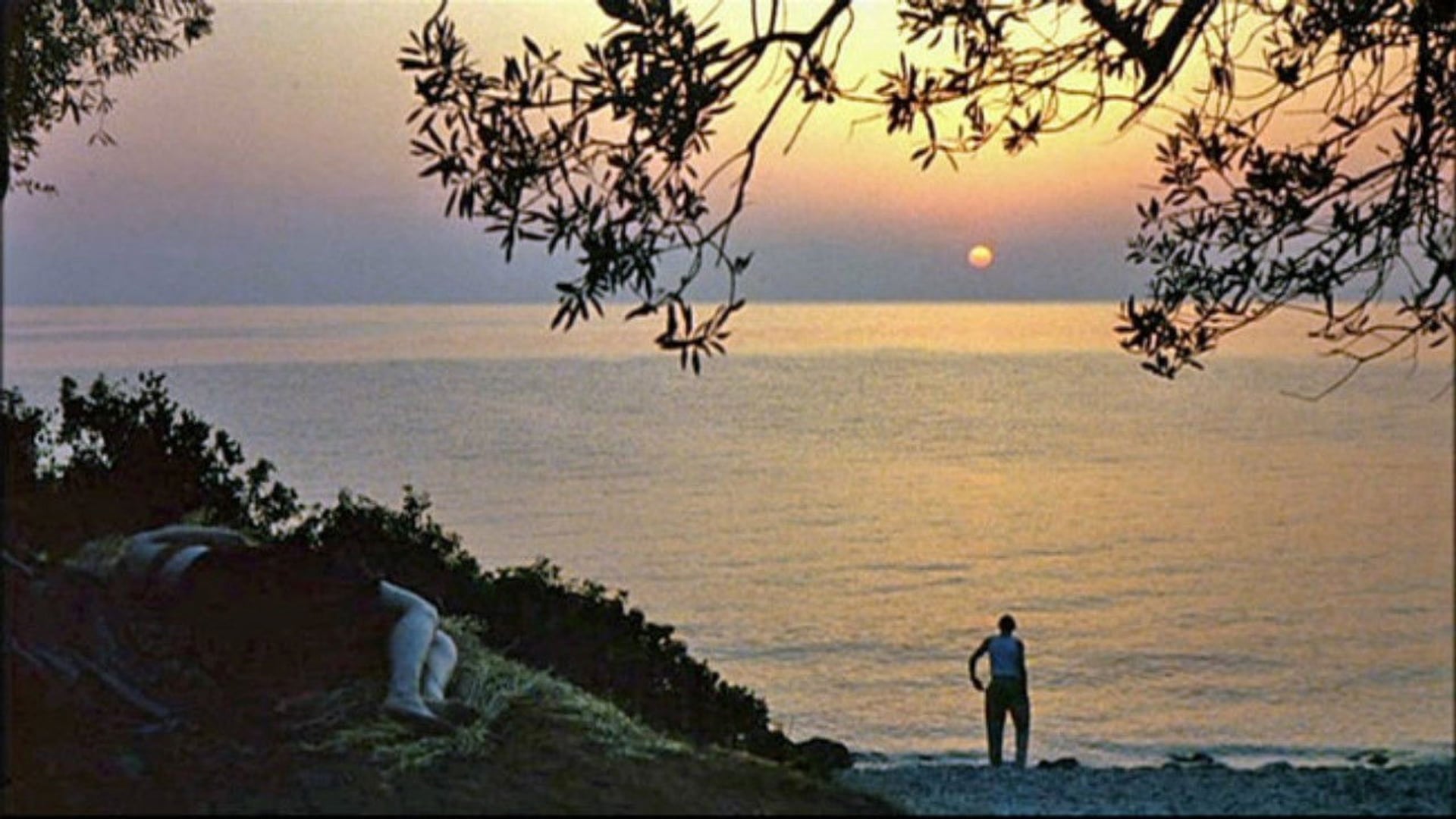 Foto do filme Homo Faber