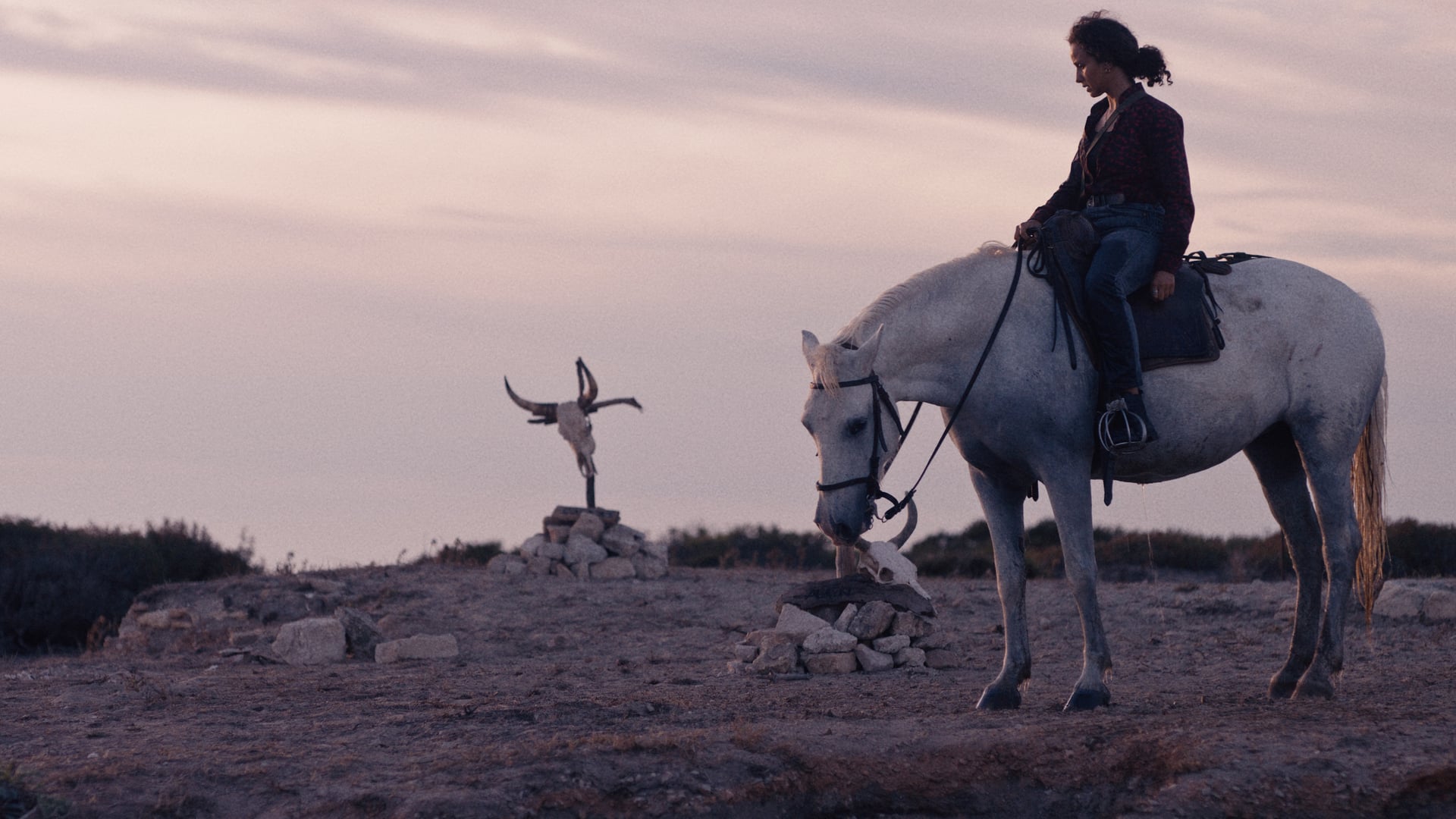 Foto do filme Animale