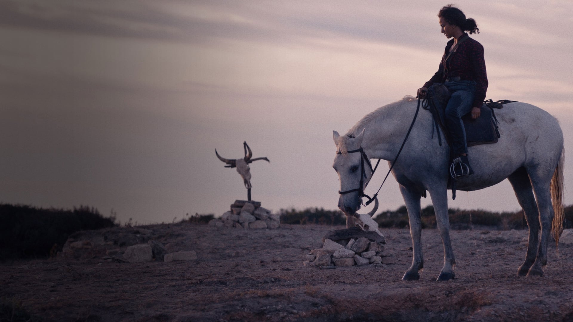 Foto do filme Animale