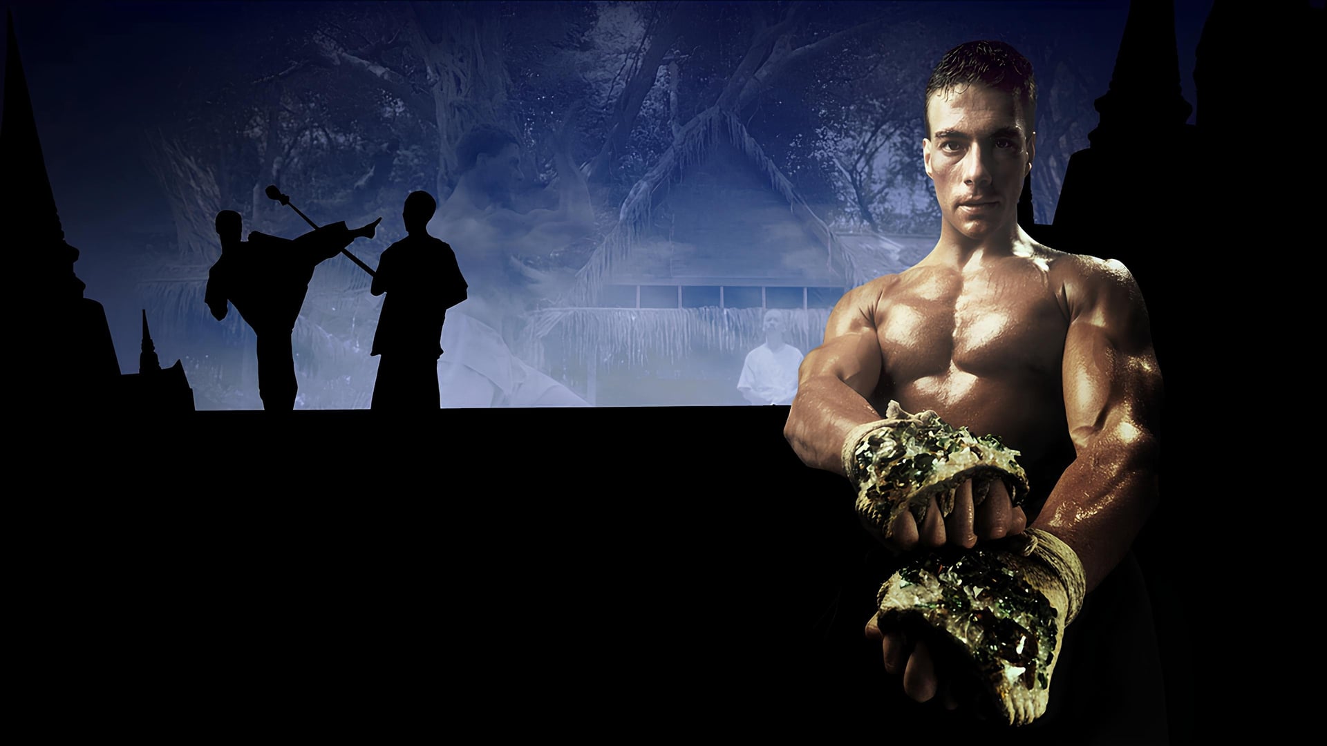 Foto do filme Kickboxer: O Desafio do Dragão