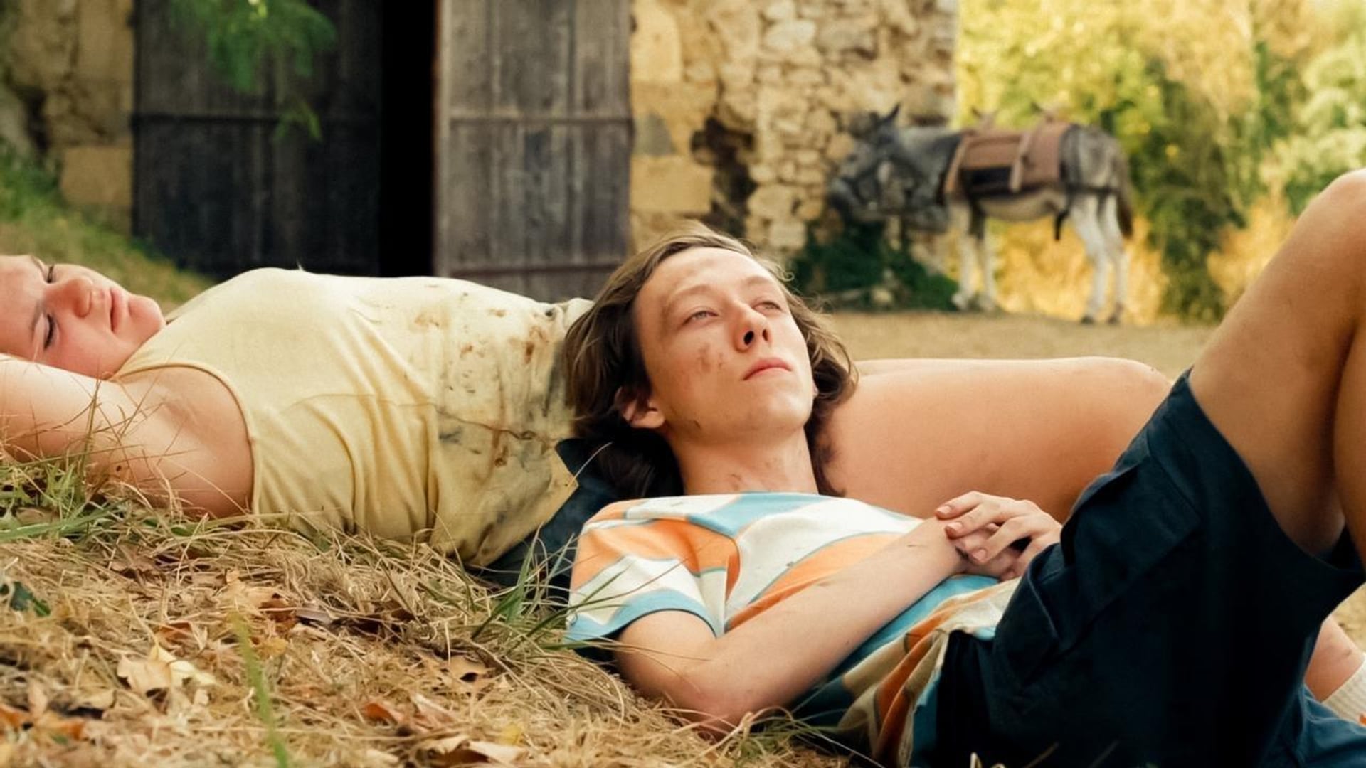 Foto do filme Super Bêbados