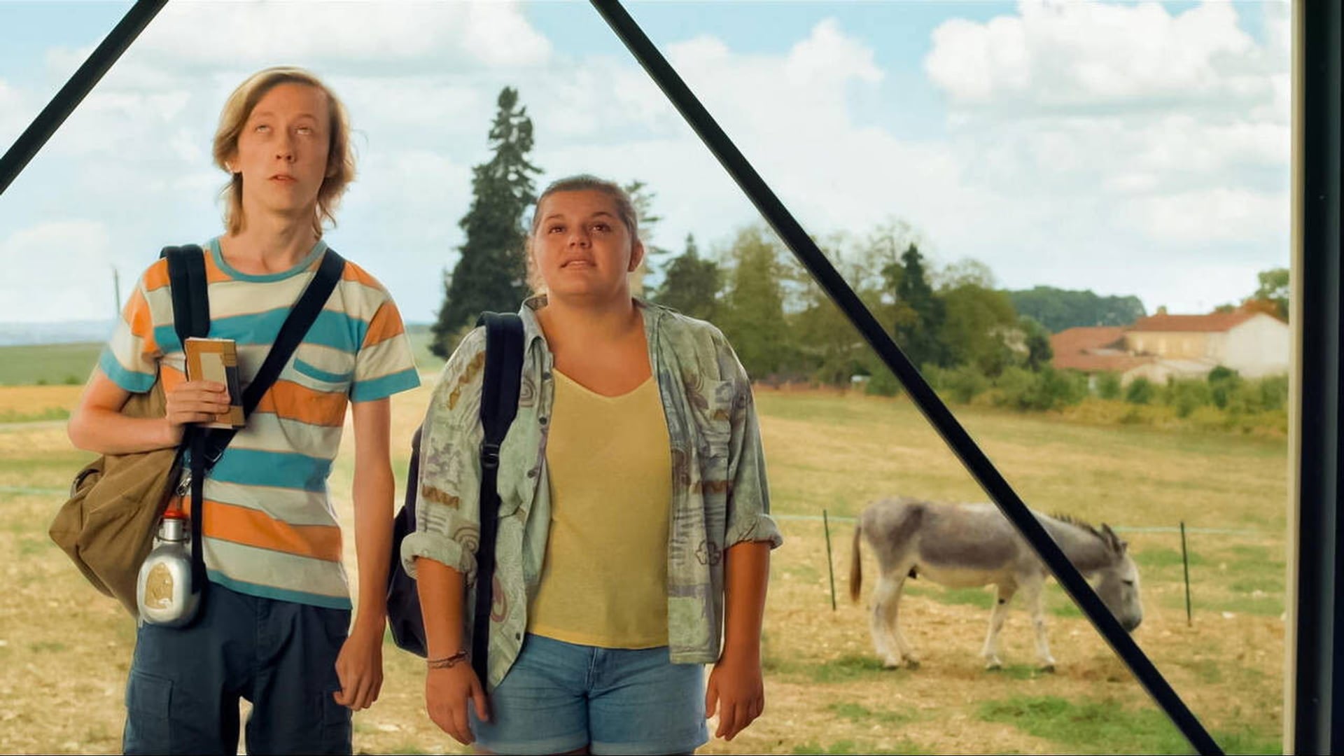 Foto do filme Super Bêbados
