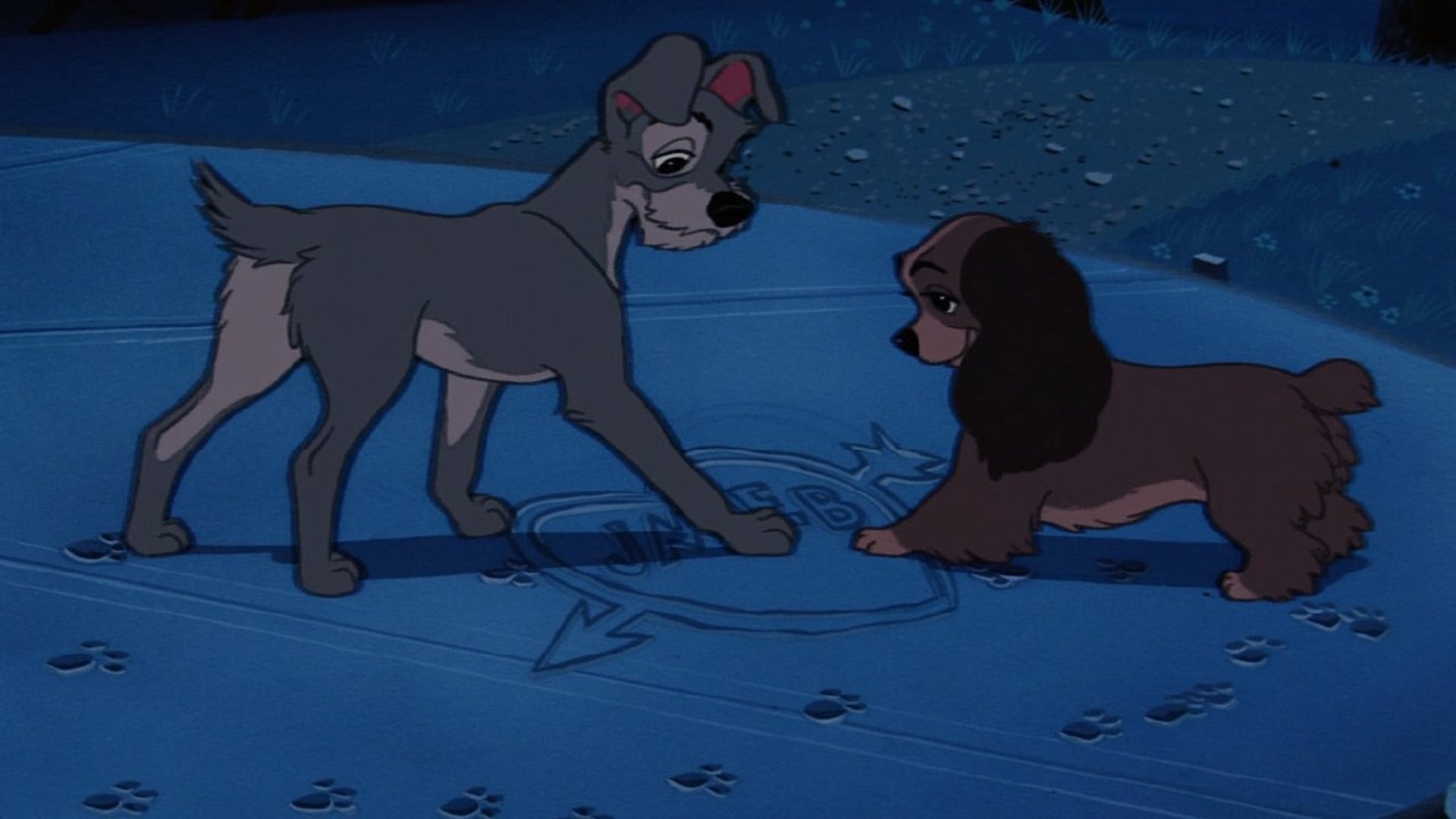 Foto do filme A Dama e o Vagabundo