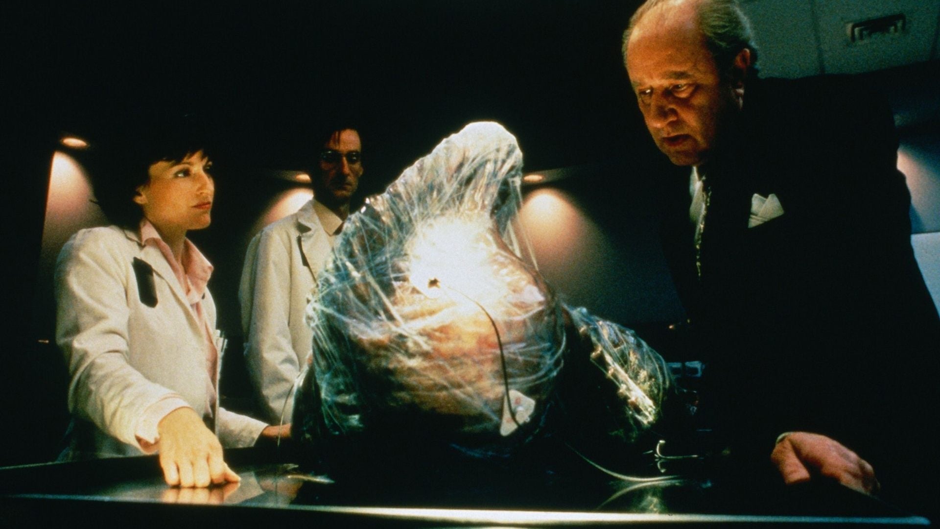 Foto do filme A Mosca 2