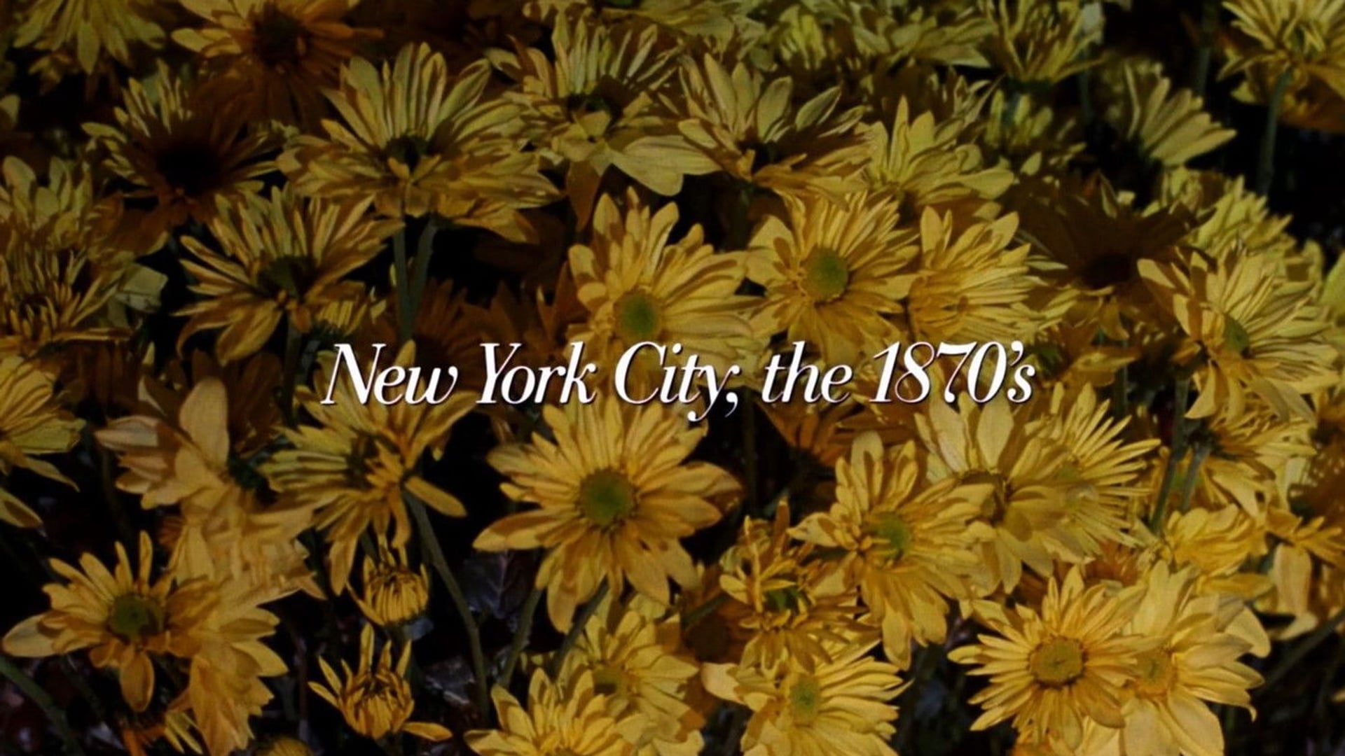 Foto do filme A Época da Inocência