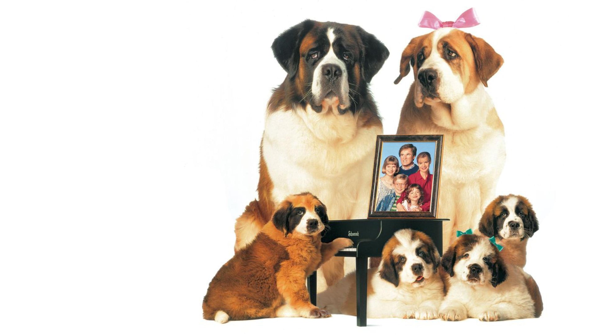 Foto do filme Beethoven 2