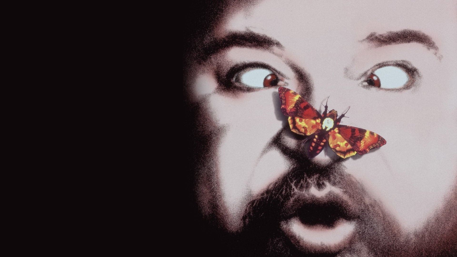 Foto do filme Il silenzio dei prosciutti