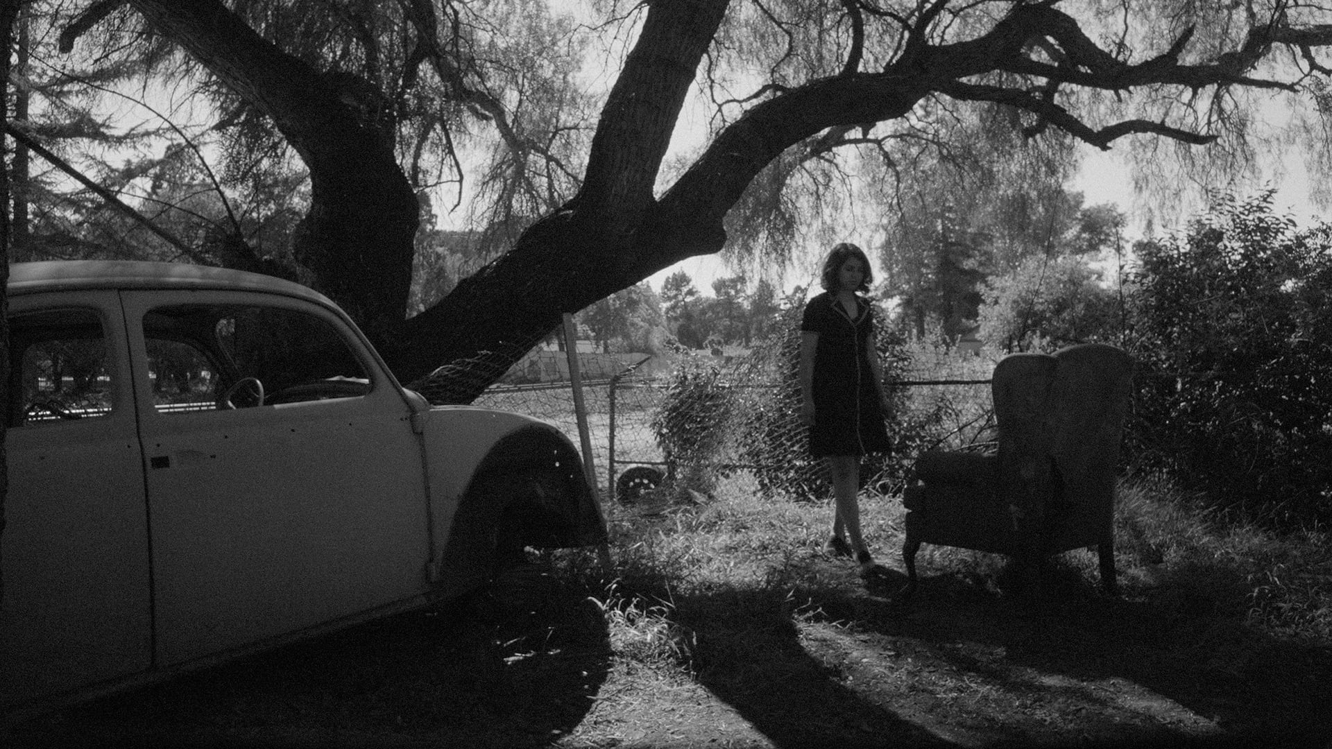 Foto do filme Fremont