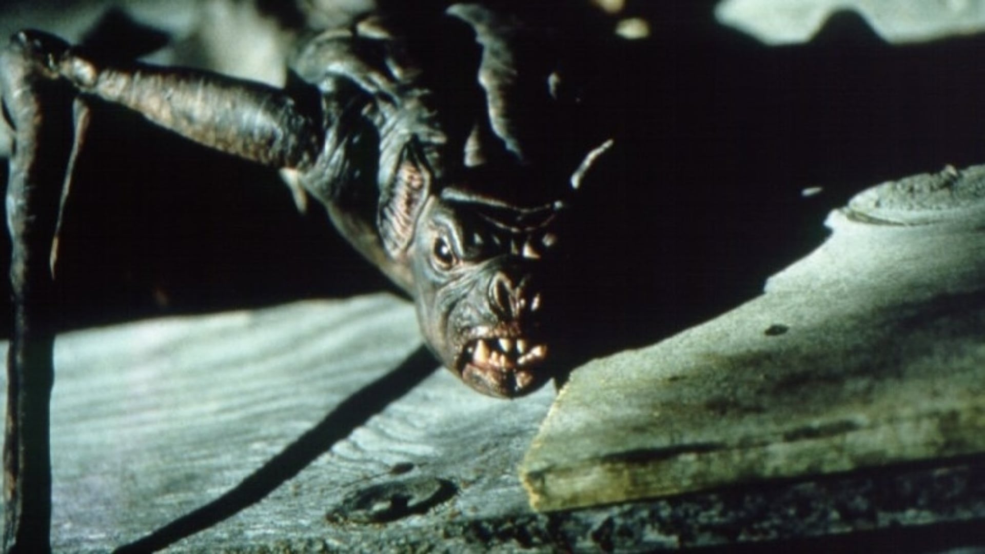 Foto do filme Morcegos