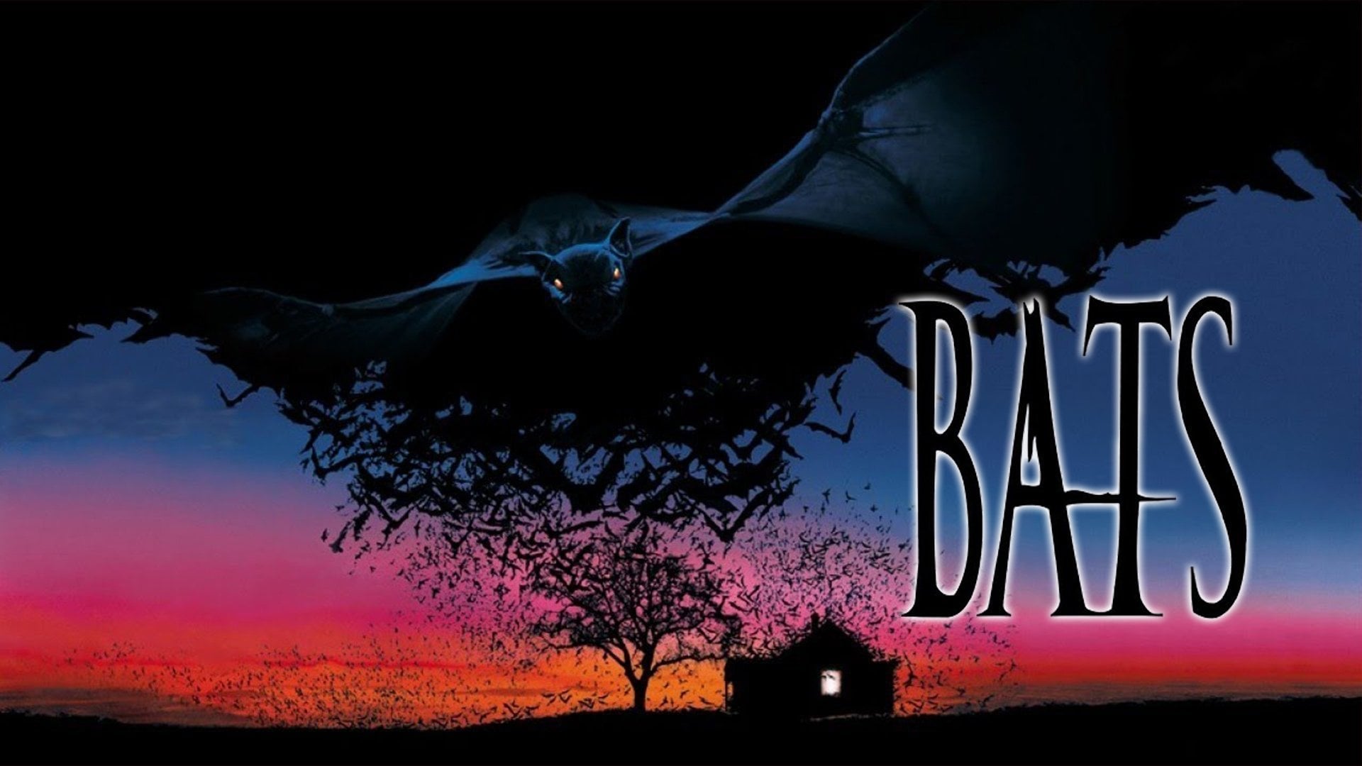 Foto do filme Morcegos
