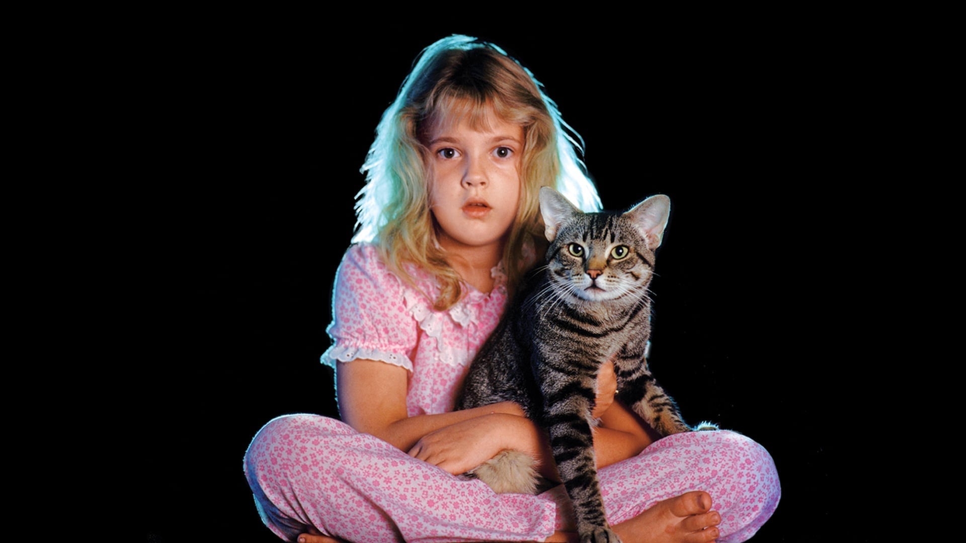 Foto do filme Olhos de Gato