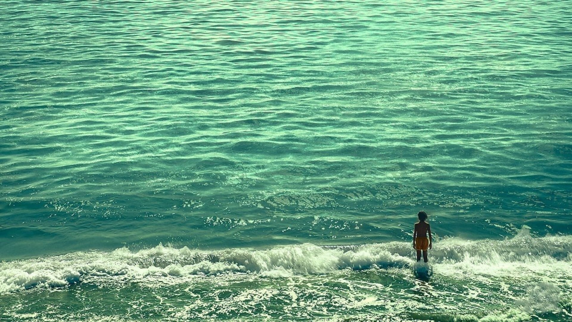 Foto do filme Denti da squalo