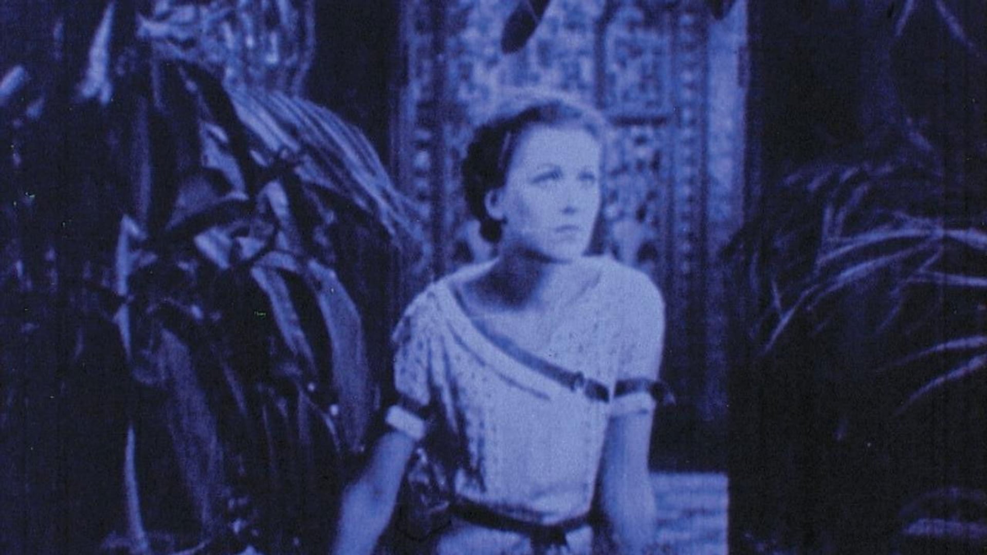 Foto do filme Rose Hobart