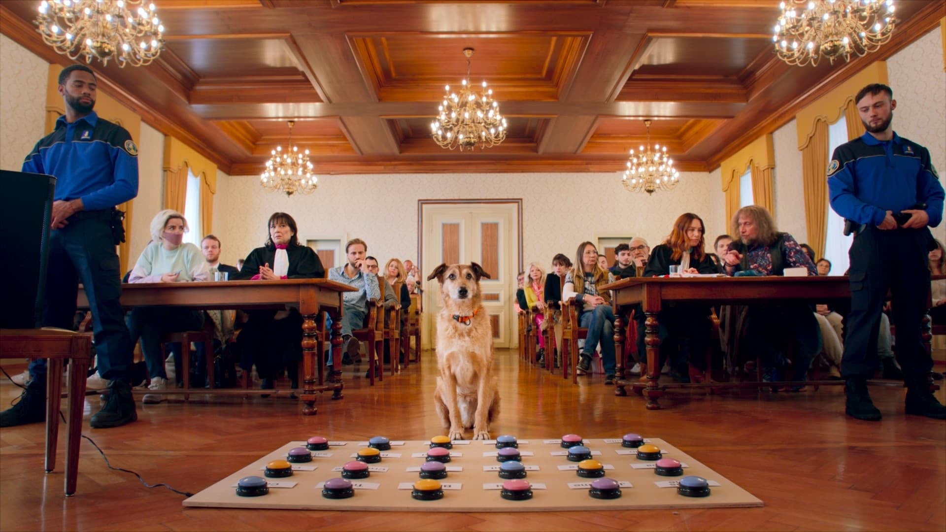 Foto do filme Le Procès du Chien