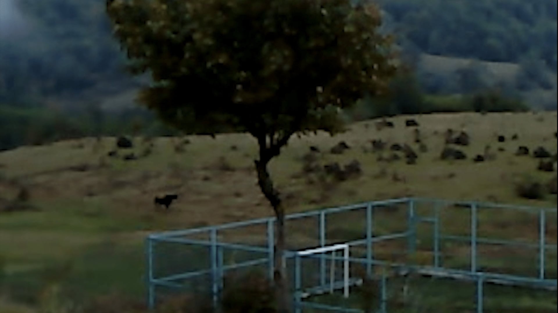 Foto do filme Dry Leaf