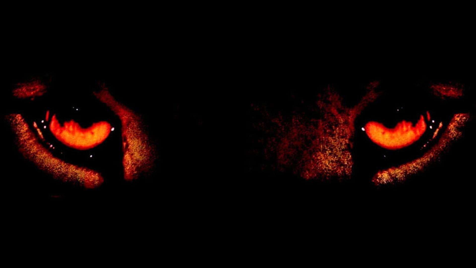 Foto do filme A Sombra e a Escuridão