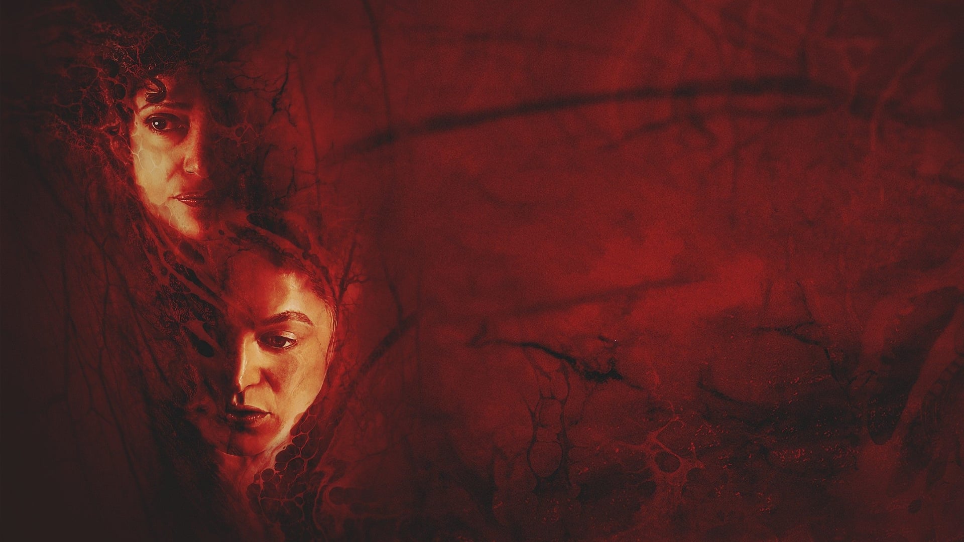 Foto do filme (Re)Nascer