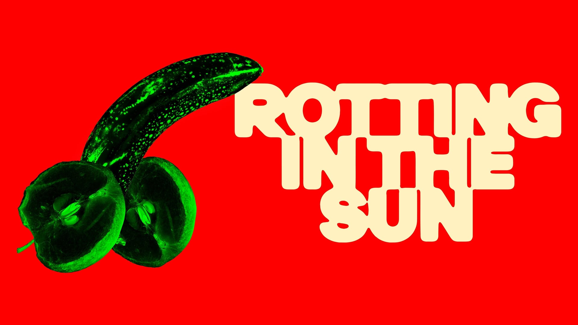 Foto do filme Rotting in the Sun