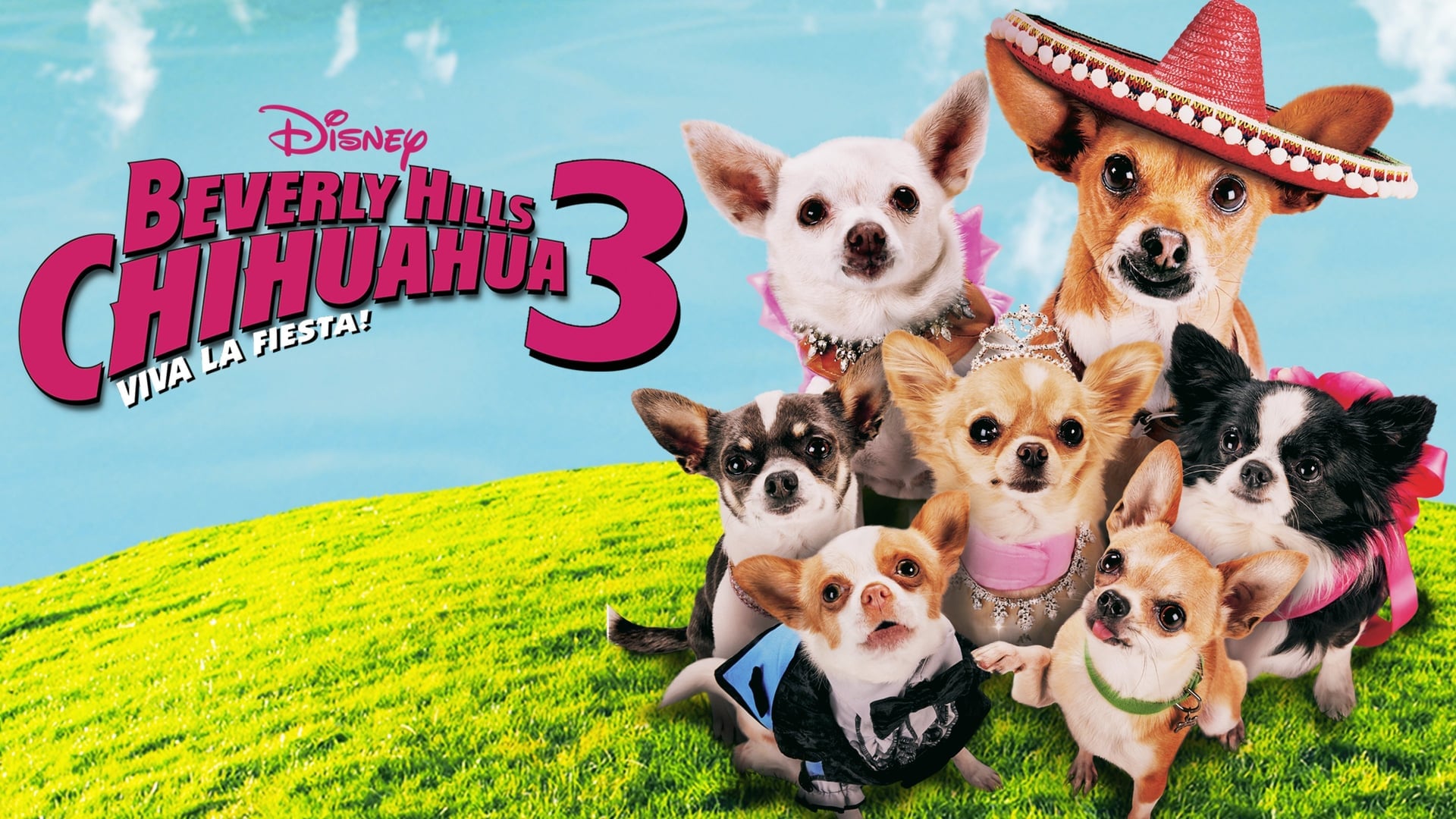 Foto do filme Perdido pra Cachorro 3