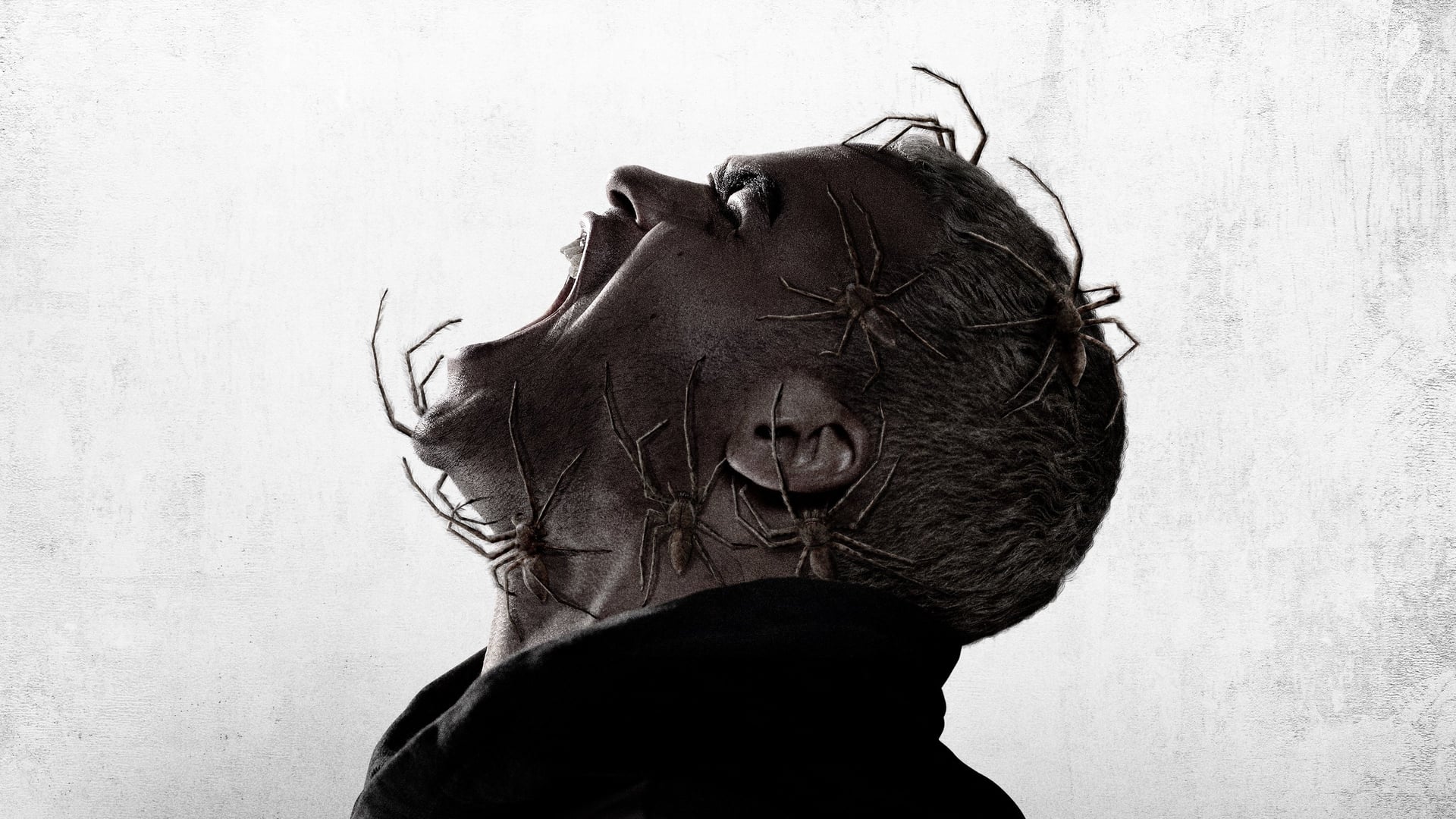 Foto do filme Infestação