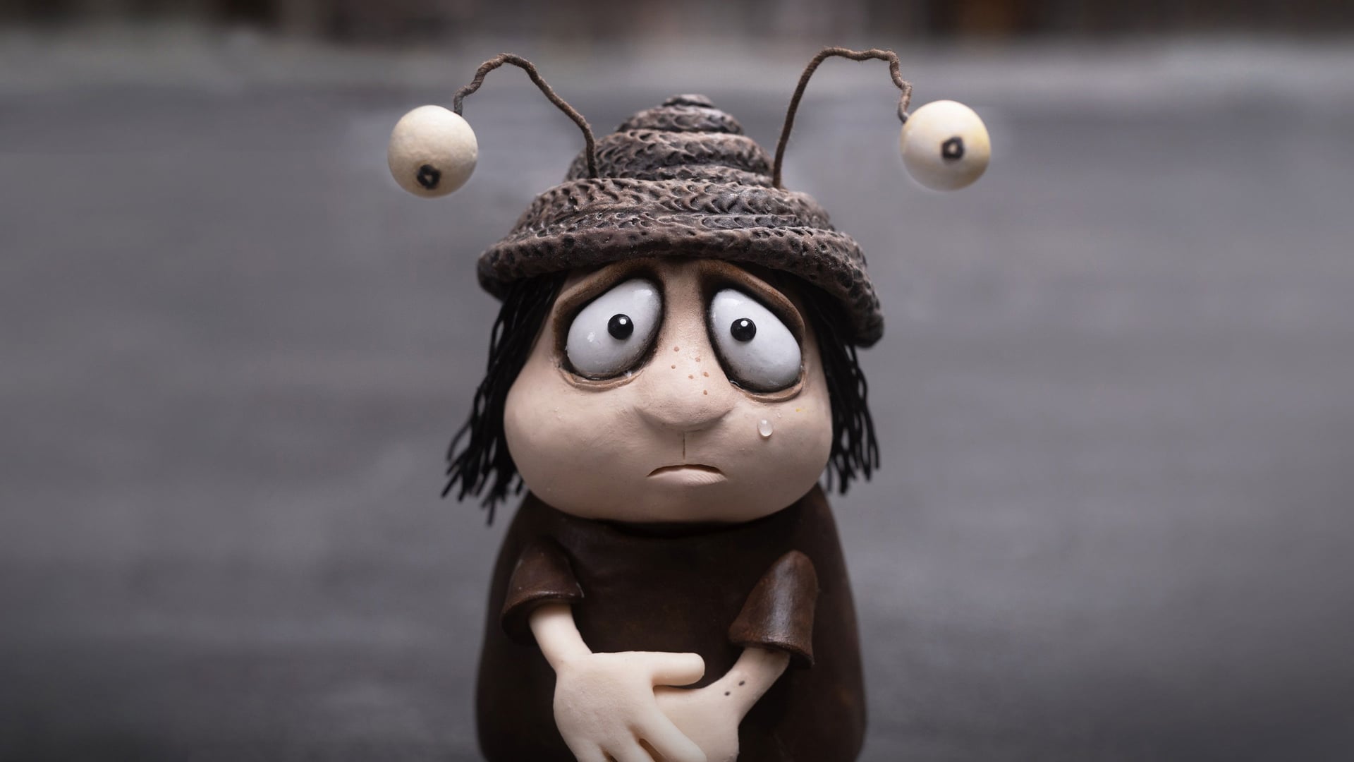 Foto do filme Memórias de um Caracol