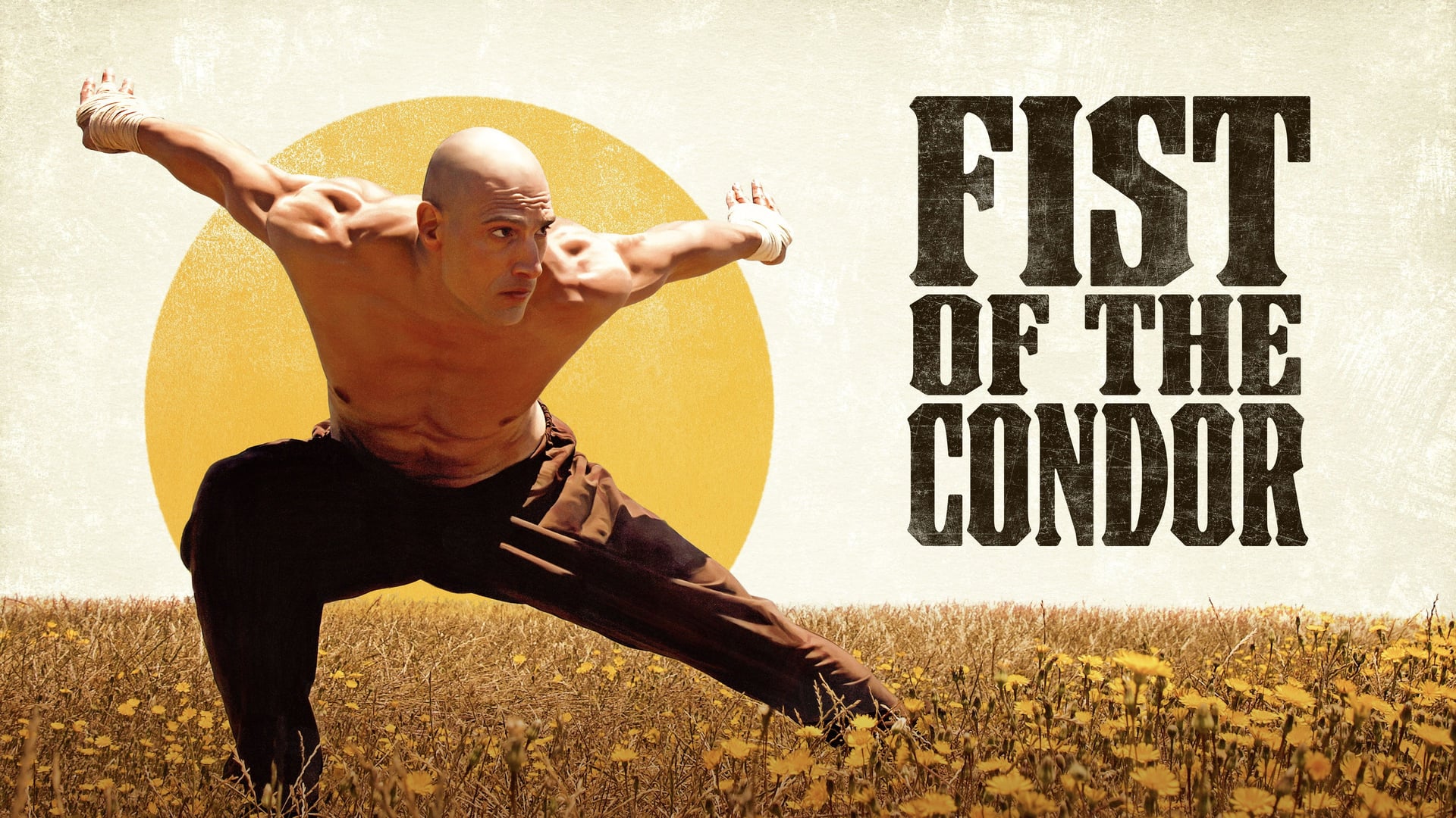 Foto do filme O Punho do Condor