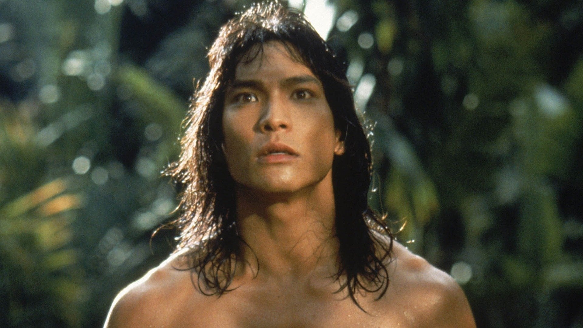 Foto do filme O Livro da Selva