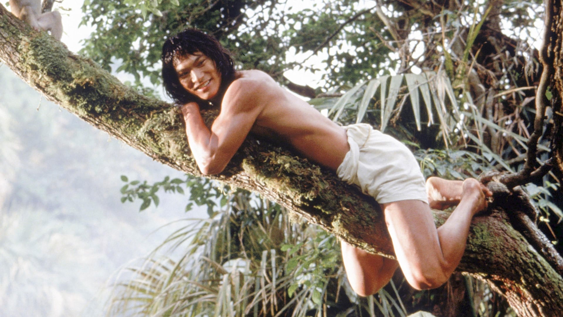 Foto do filme O Livro da Selva