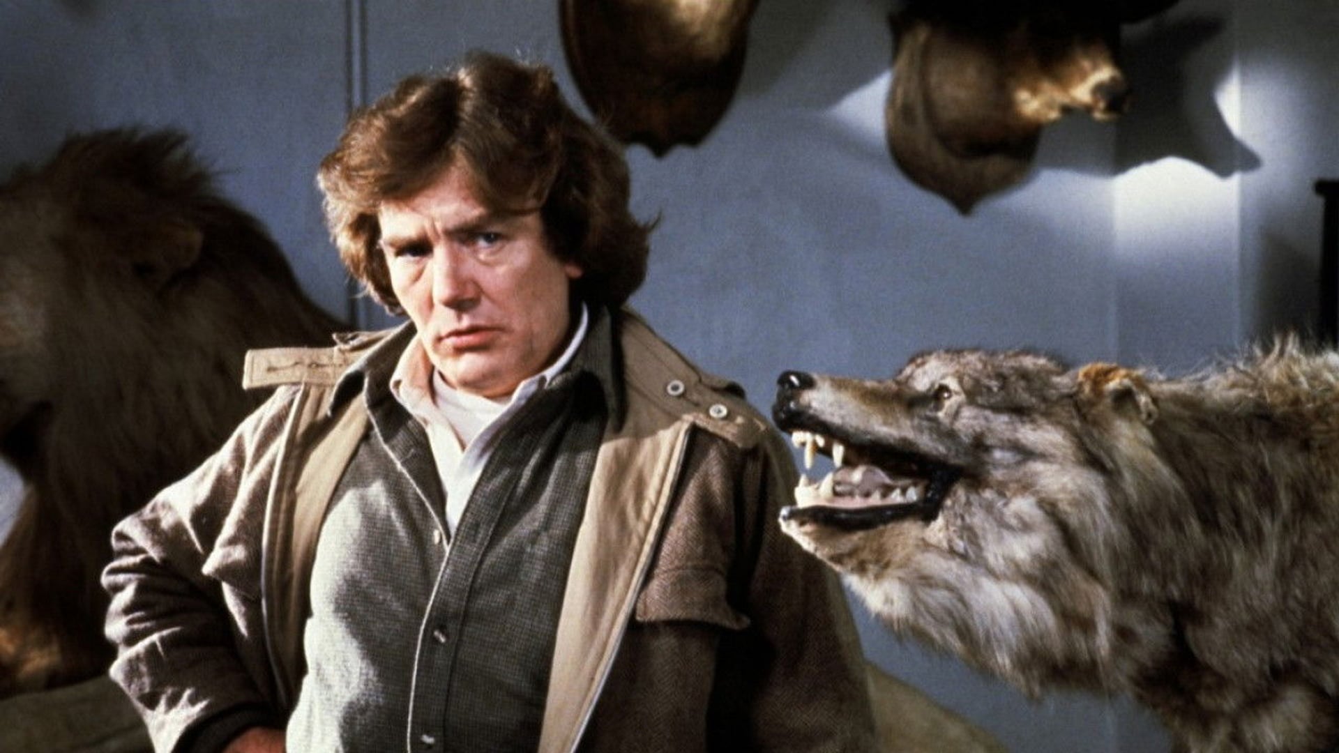 Foto do filme Lobos