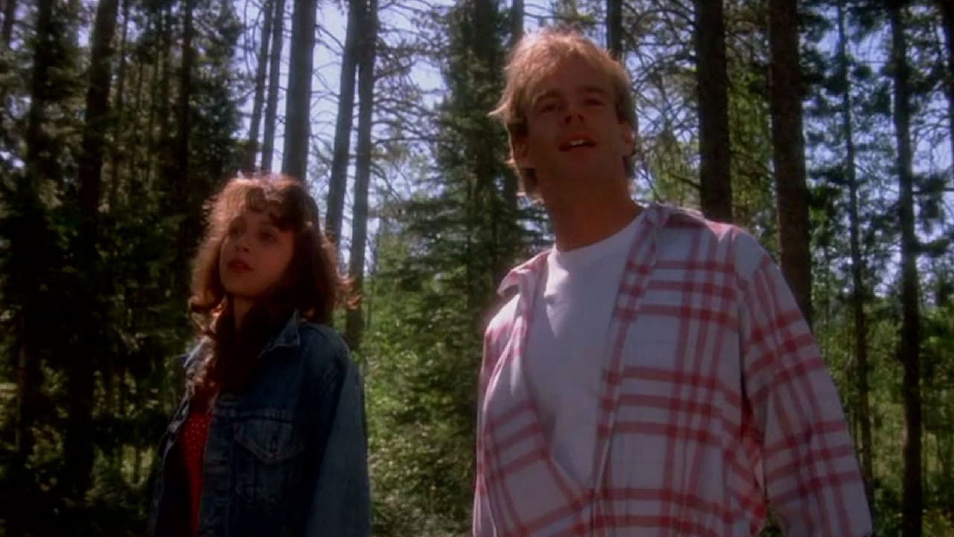 Foto do filme The Crawlers