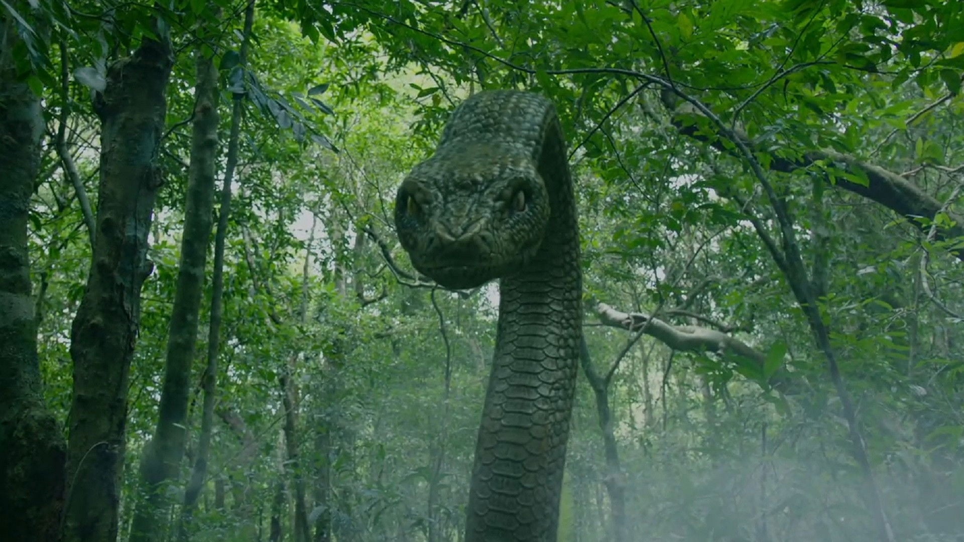 Foto do filme Deep Sea Python