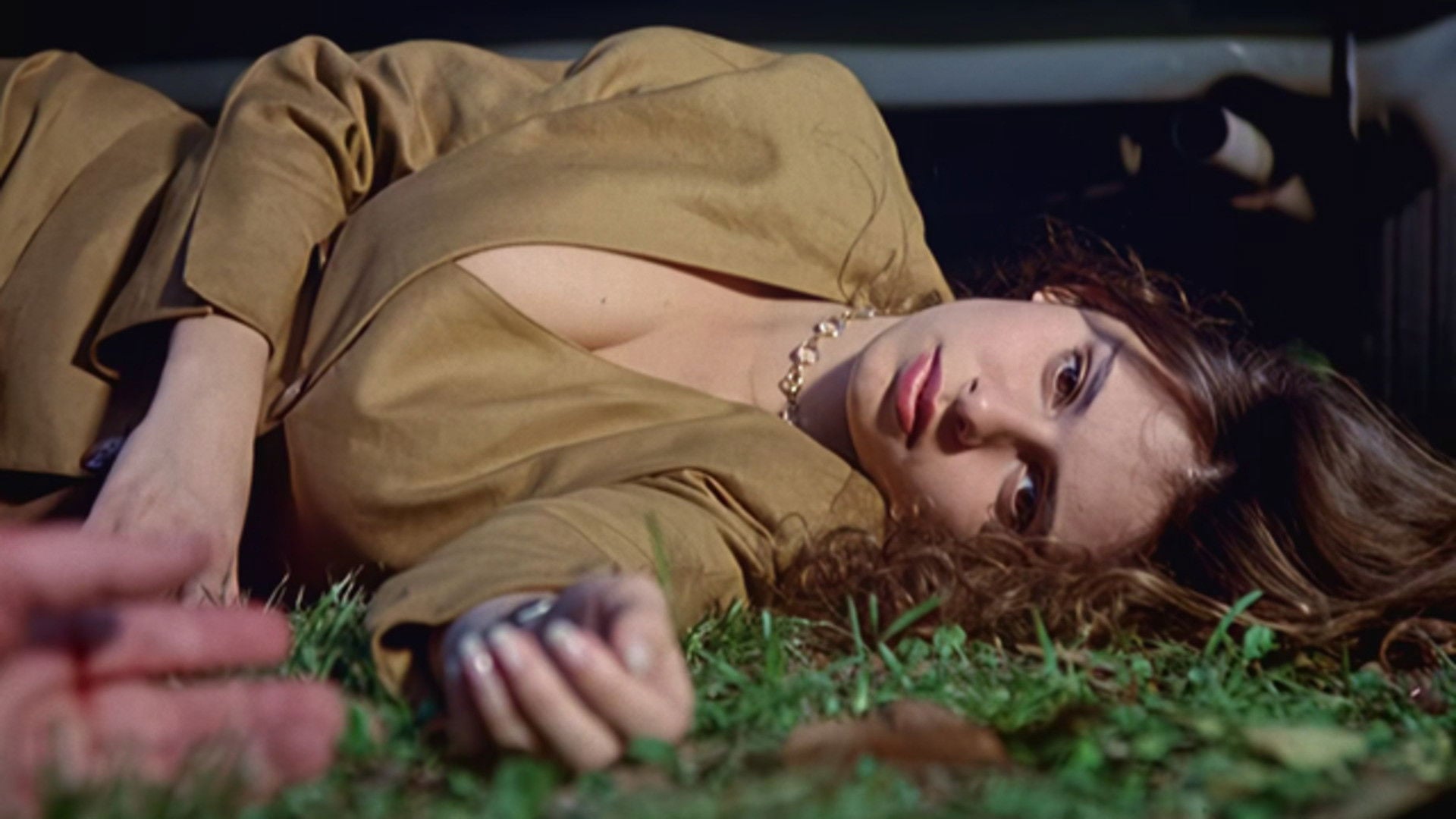 Foto do filme O Sorriso da Raposa